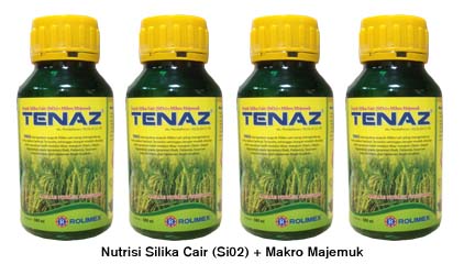 Silika Hara Penting Tanaman Padi, Gunakan Silika Cair Tenaz