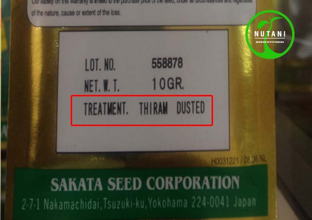 Kurangi Kematian Semai Akibat Jamur dengan Seed Treatment