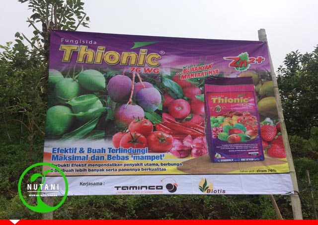 Fungisida Thionic 76 WG Menjadikan Buah Apel Lebih Mulus