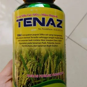 Tenaz