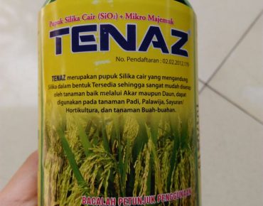 Tenaz
