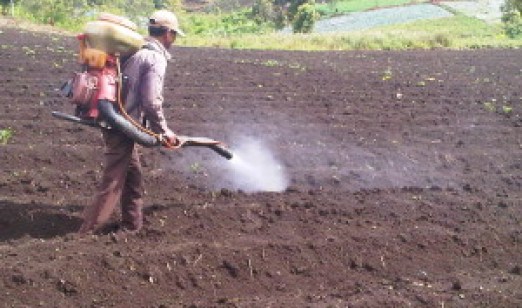 Faktor Penentu Keberhasilan Penyemprotan