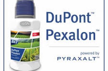 Pexalon Corteva DowDupont
