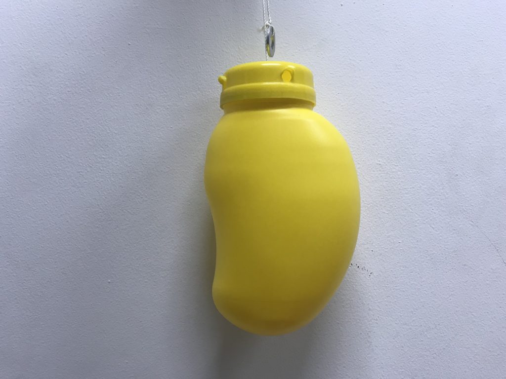 Perangkap lalat buah