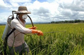 Jangan Pakai Bahan Aktif Fungisida ini Lebih Dari 4 Kali Per Musim