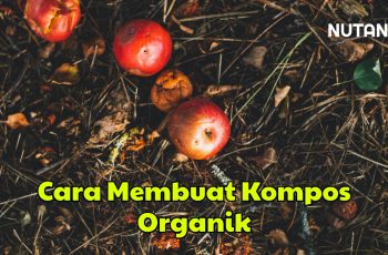 Cara Membuat Kompos Organik