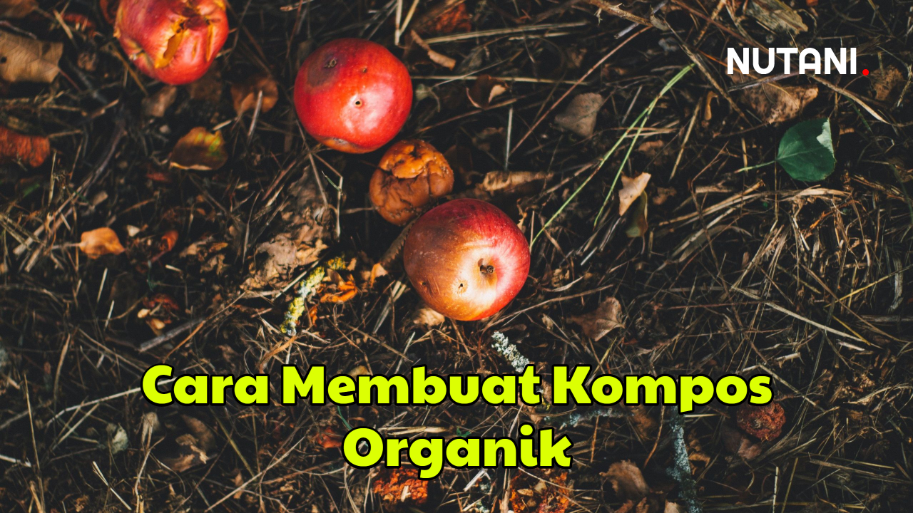Kompos organik