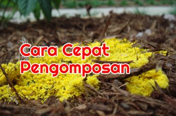 Cara Cepat Teknik Pengomposan, Cukup 3-7 Hari Saja