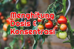 Bagaimana Menentukan Dosis dan Konsentrasi Penyemprotan Pestisida