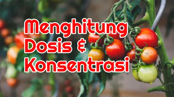 Bagaimana Menentukan Dosis dan Konsentrasi Penyemprotan Pestisida