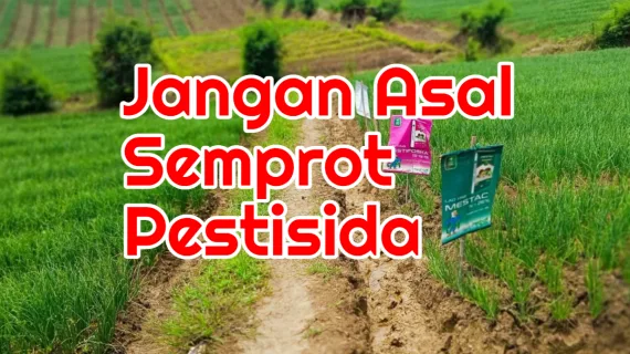 Semprot Pestisida Palsu