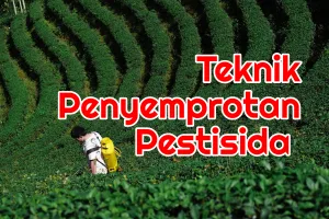 Inilah Teknik Penyemprotan Pestisida Yang Tepat