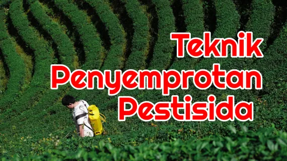 Inilah Teknik Penyemprotan Pestisida Yang Tepat