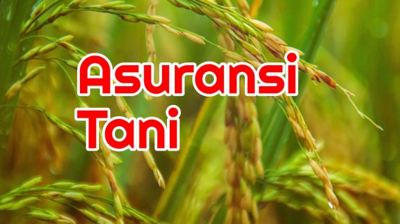 Apa Itu Asuransi Usaha Tani ?