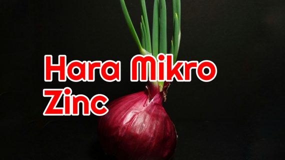 Peranan Unsur Mikro Zinc atau Seng Pada Tanaman