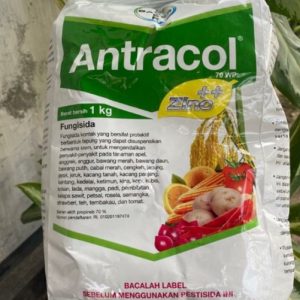 Antracol 70WP fungisida obat jamur tanaman 1 kg