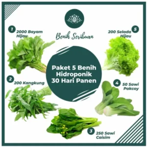 Benih paket hidroponik 5 macam sayuran