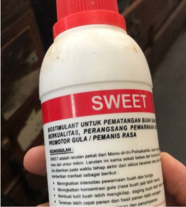 Biostimulant Sweet Pemanis Buah