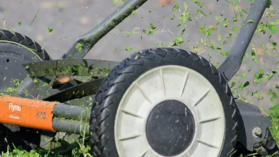Cek Harga Mesin Potong Rumput Sebelum Membeli