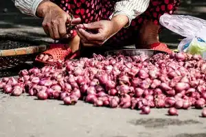 Varietas Maserati, Bawang Merah dari Biji Keuntungan Lebih Besar