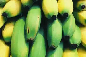 Cara Mencegah Buah Pecah Di Pohon
