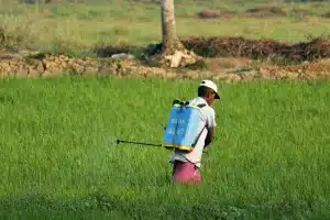 Hindari Gagal Panen! Begini Cara Menghitung Volume Semprot Pestisida