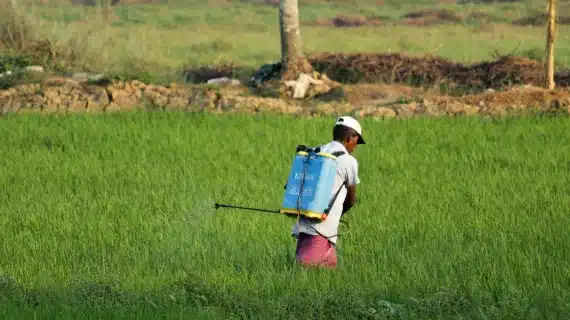 Hindari Gagal Panen! Begini Cara Menghitung Volume Semprot Pestisida