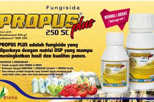 Review Fungisida Propus Plus: Bukan Sekedar Fungisida Difenokonazol Berikut Kelebihannnya